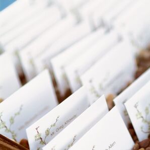 The Escort Cards