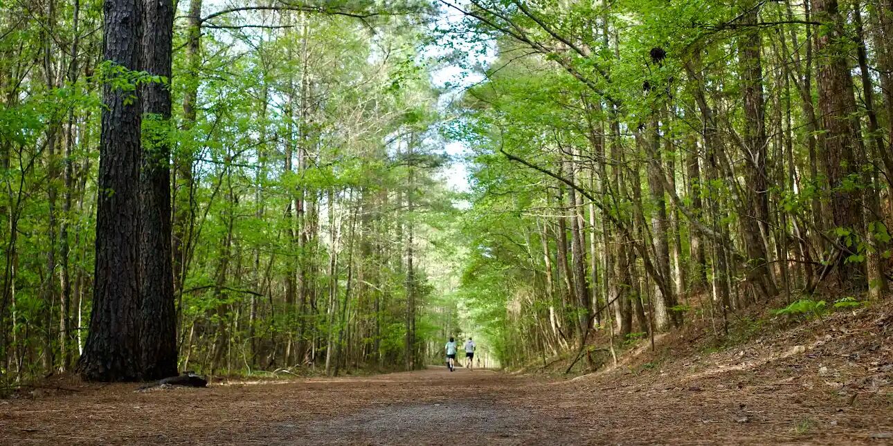 Picture of South Campus Rail Trail