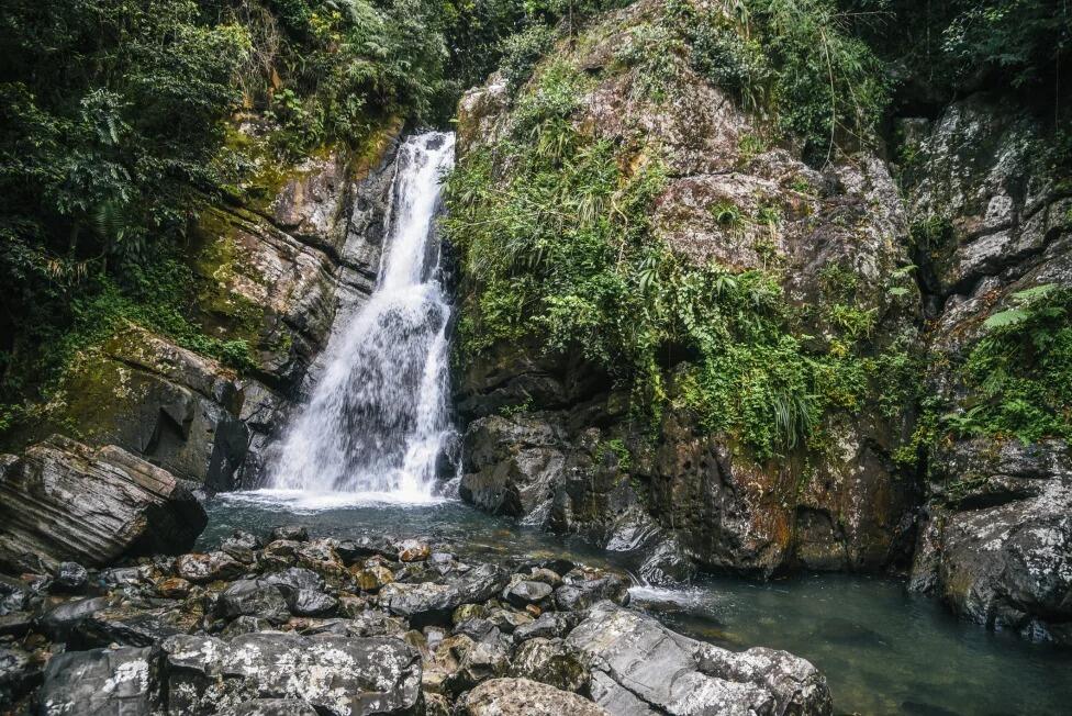 Picture of El Yunque National Forest