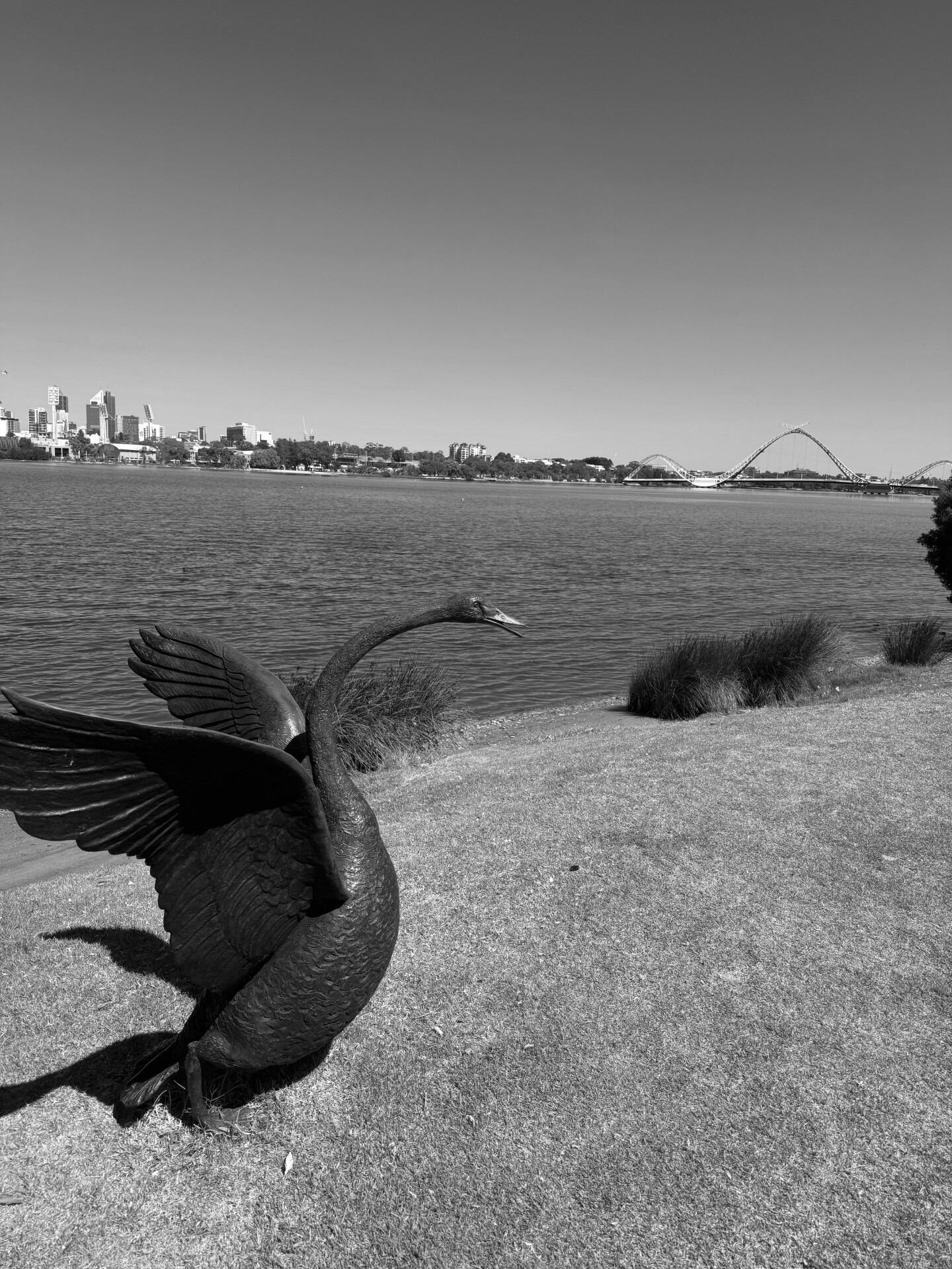 Sam and Katie settled in Perth