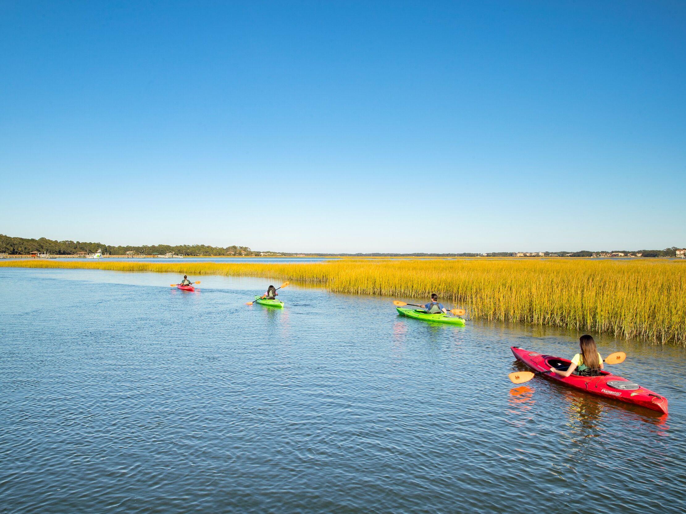 Picture of Kayak Hilton Head