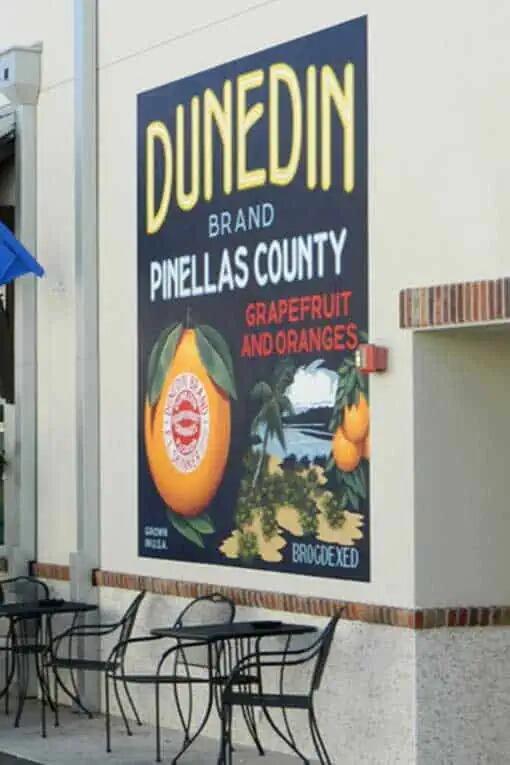 Picture of Downtown Dunedin