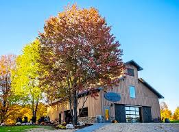 Picture of Boyne Valley Vineyards