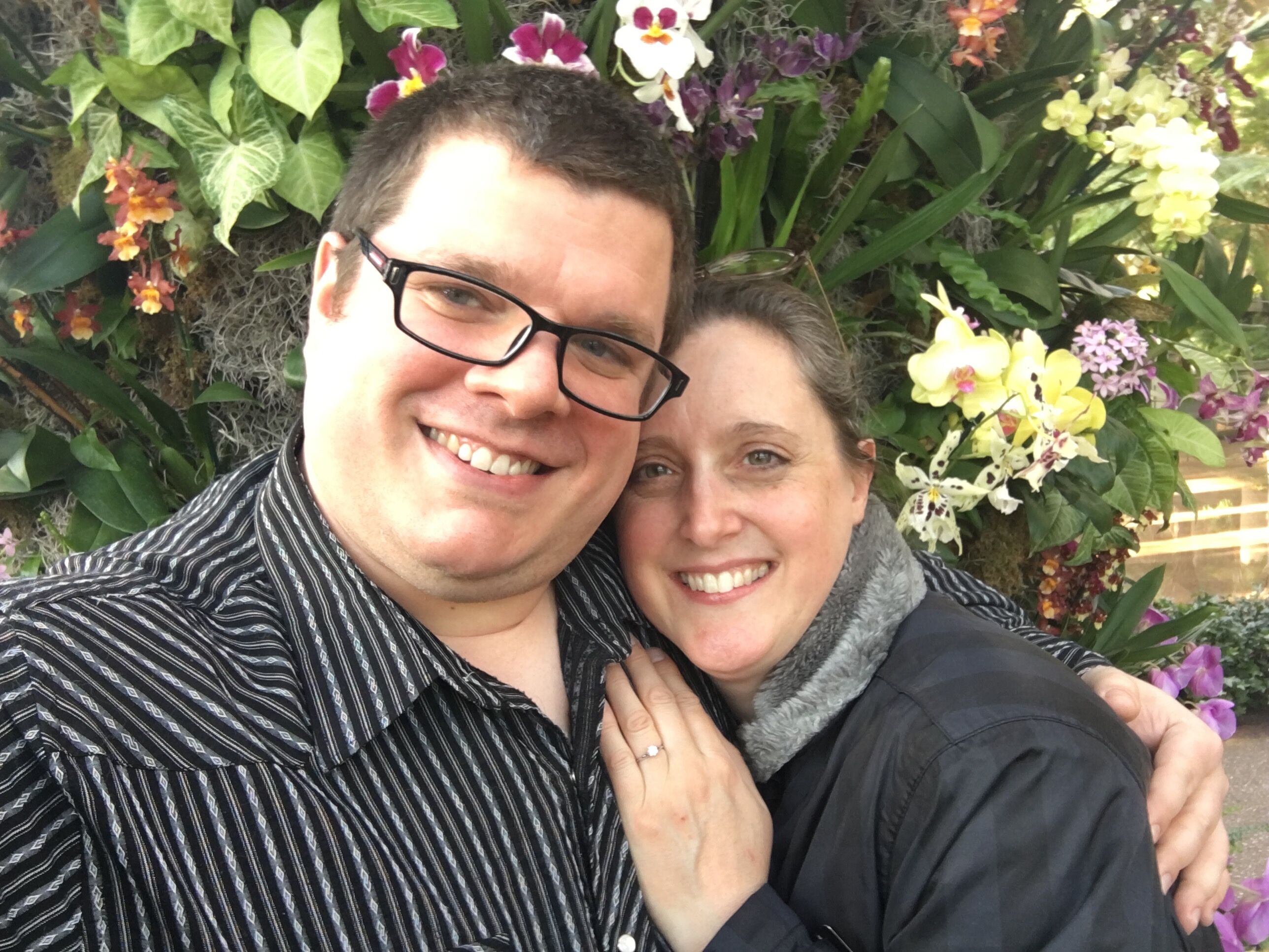 Picture of The Proposal