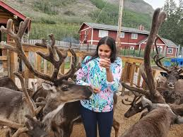 Picture of Reindeer Farm