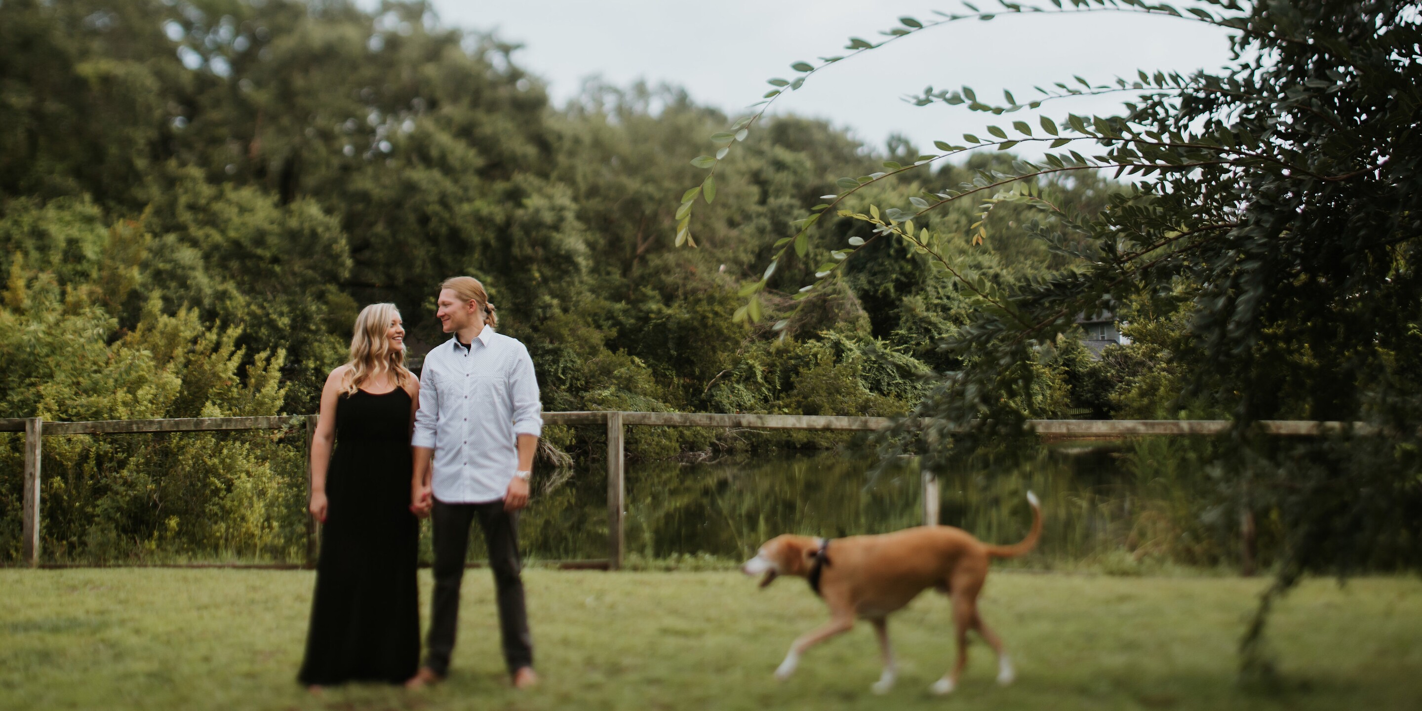 Amanda & Will Home Page Banner