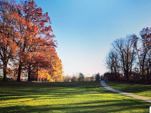 Picture of Sunny Hill Golf & Recreation Inc