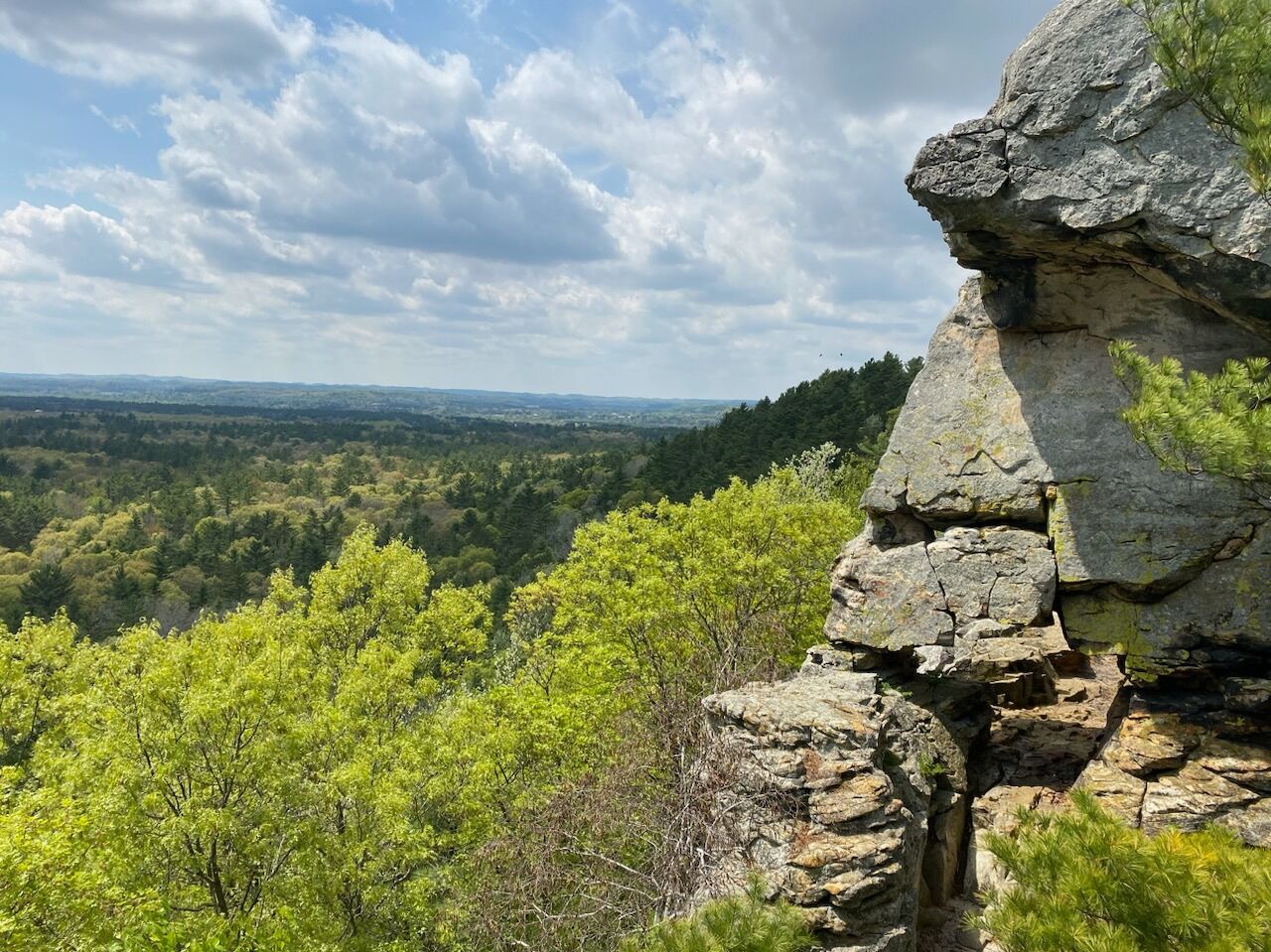 Picture of Castle Mound Nature Trailhead