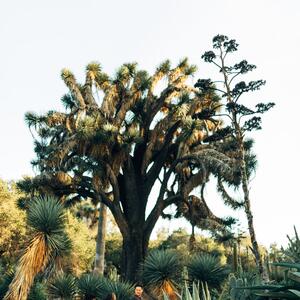 Gallery Photo 21