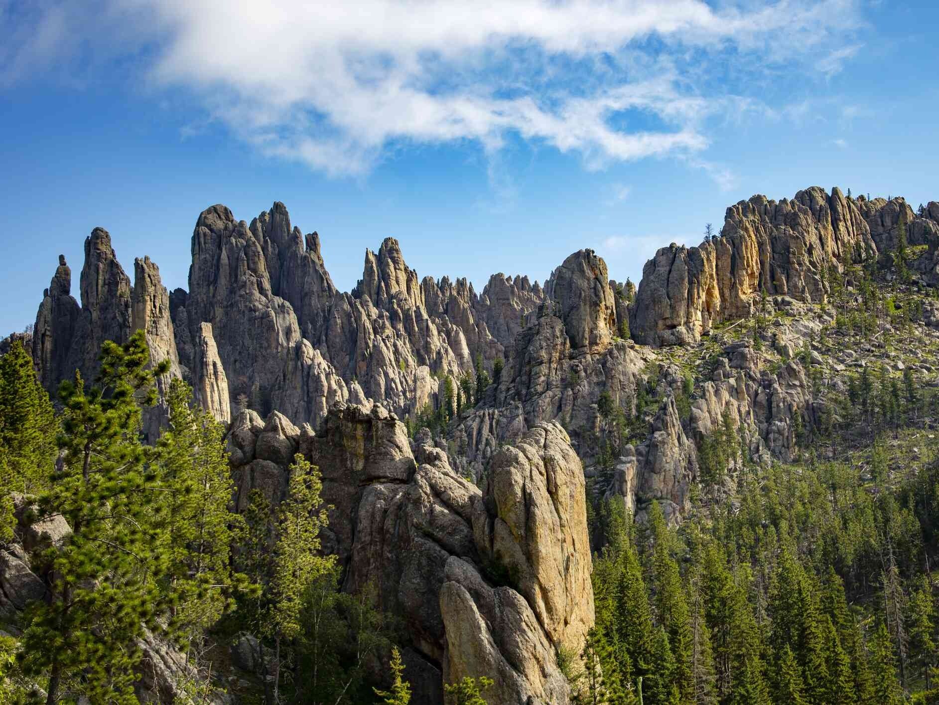 Picture of Needles Highway
