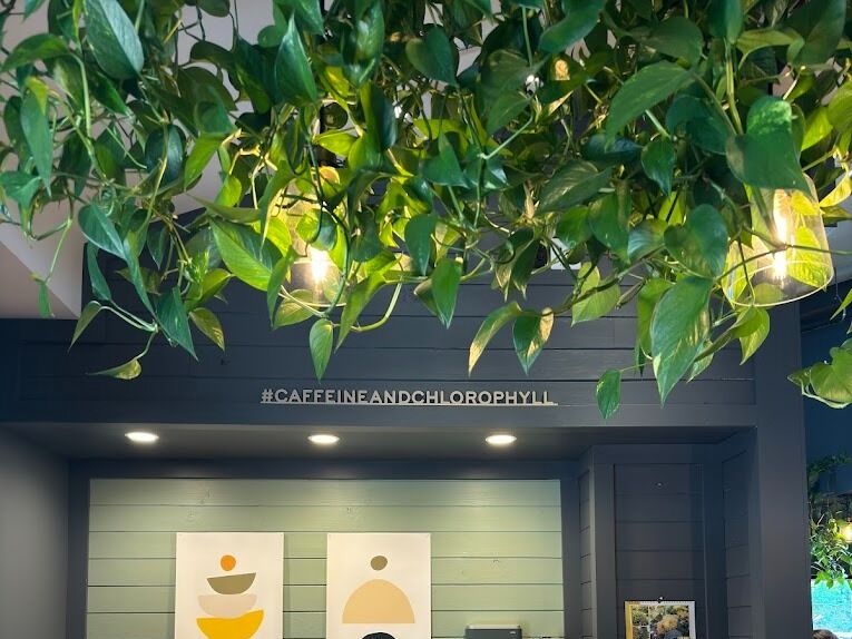 Picture of Café Equinox