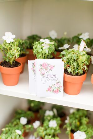 Potted Geranium Favors