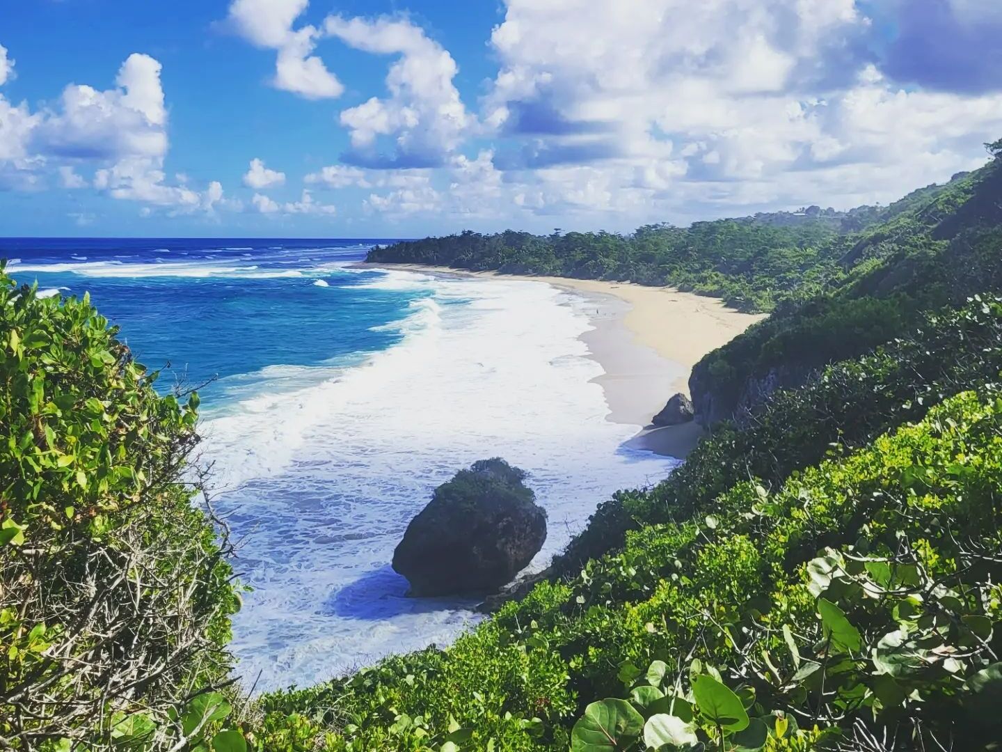 Picture of Survivor Beach