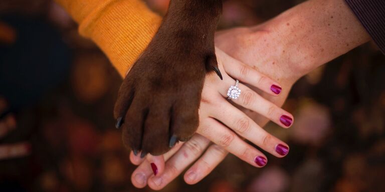 Alyssa & Eli Home Page Banner
