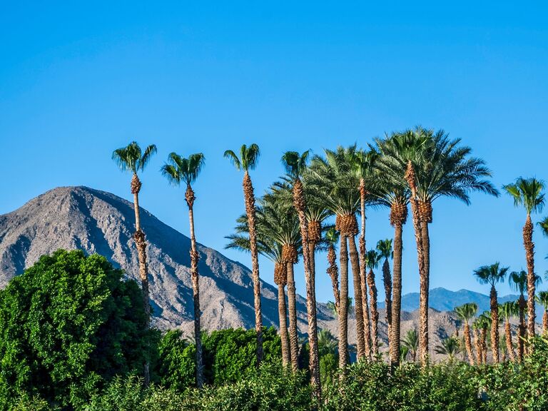 palm springs