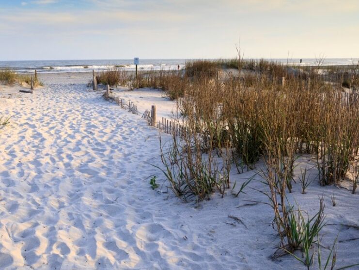 Picture of Station 23 - Public Beach Access