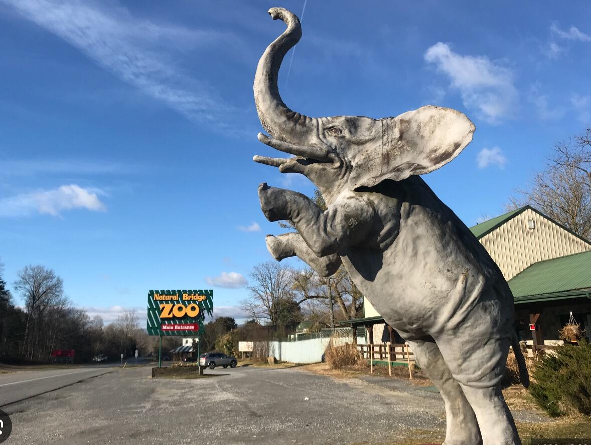 Picture of Natural Bridge Zoo