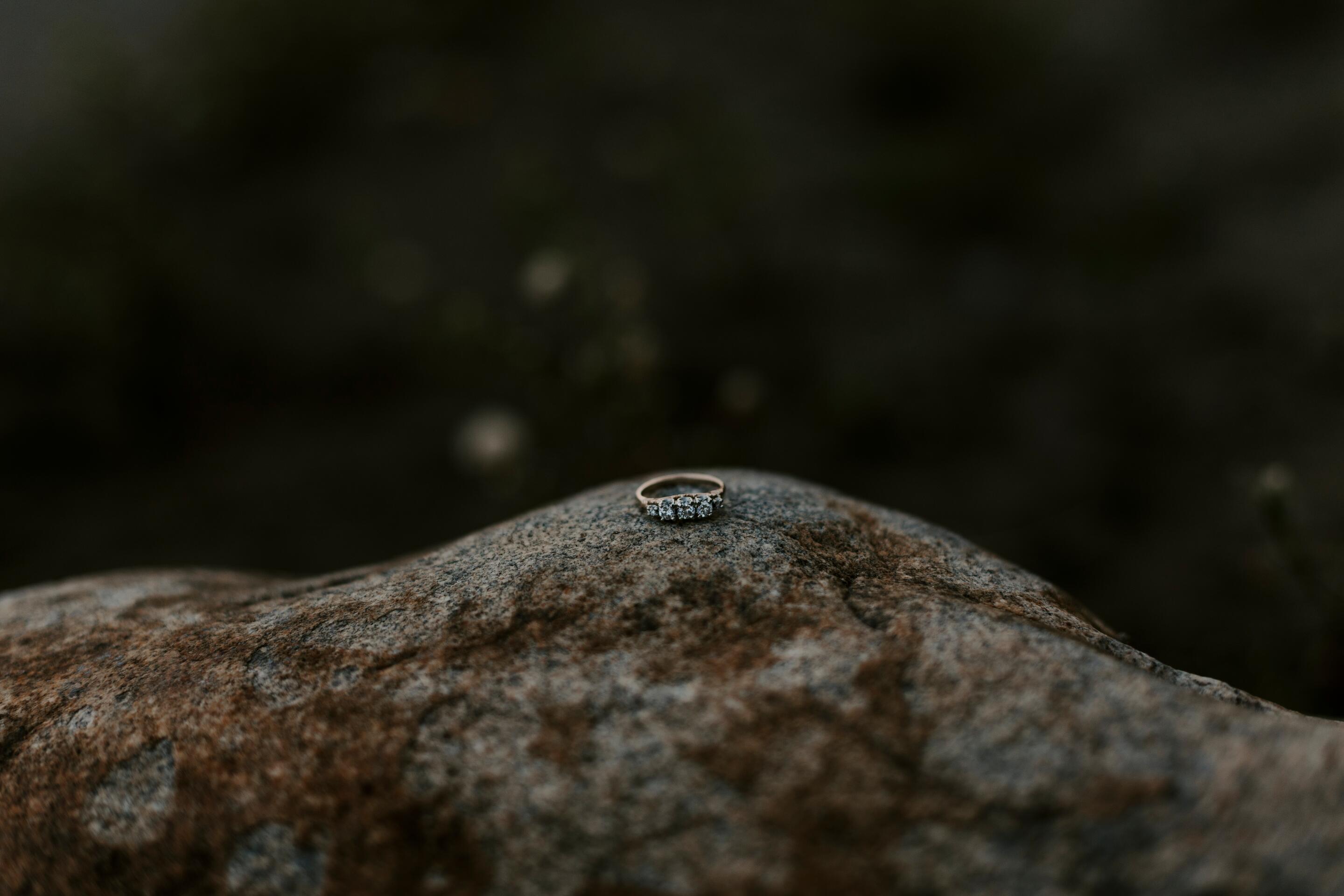 Album Photo 17