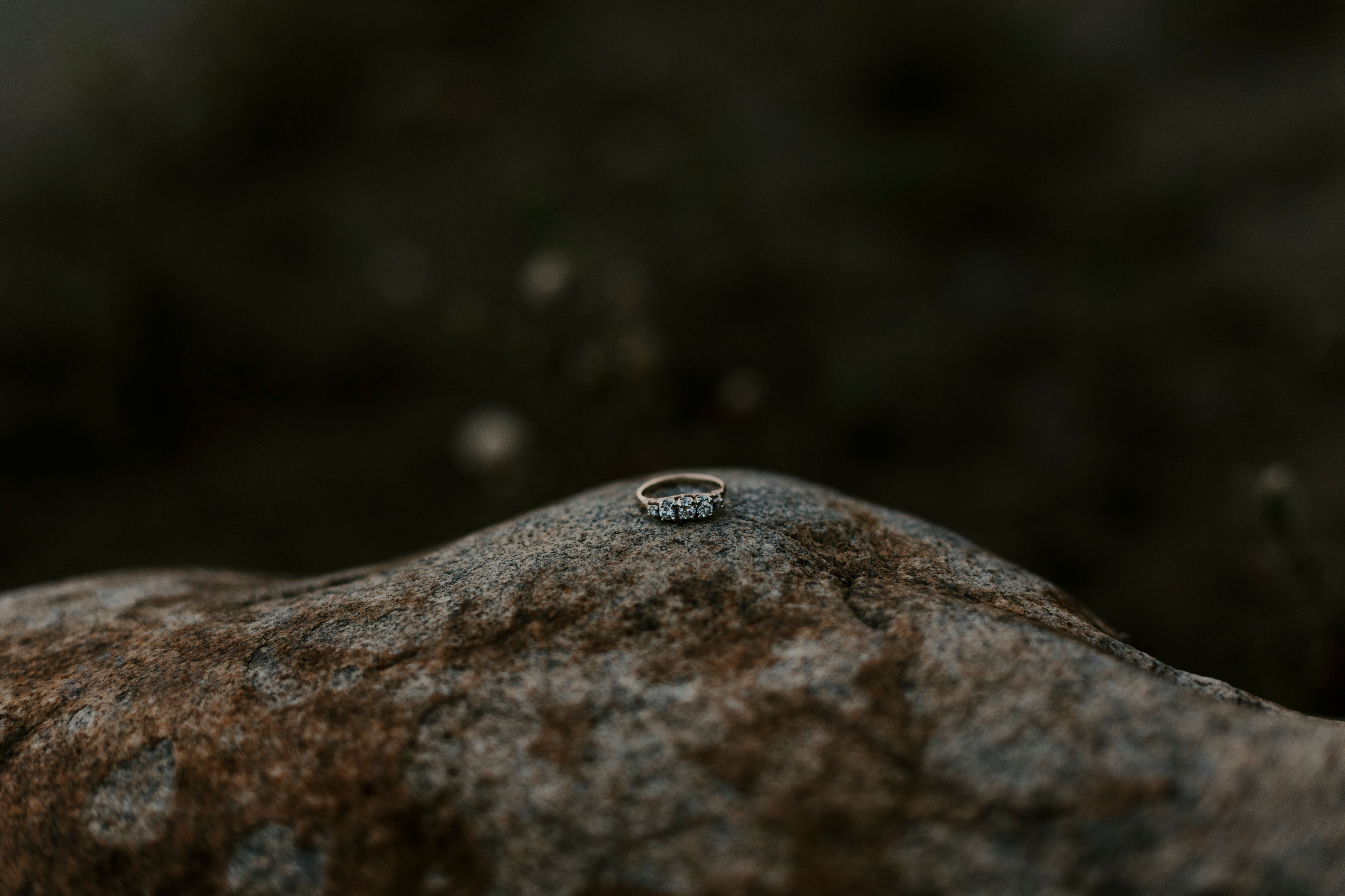 Album Photo 17
