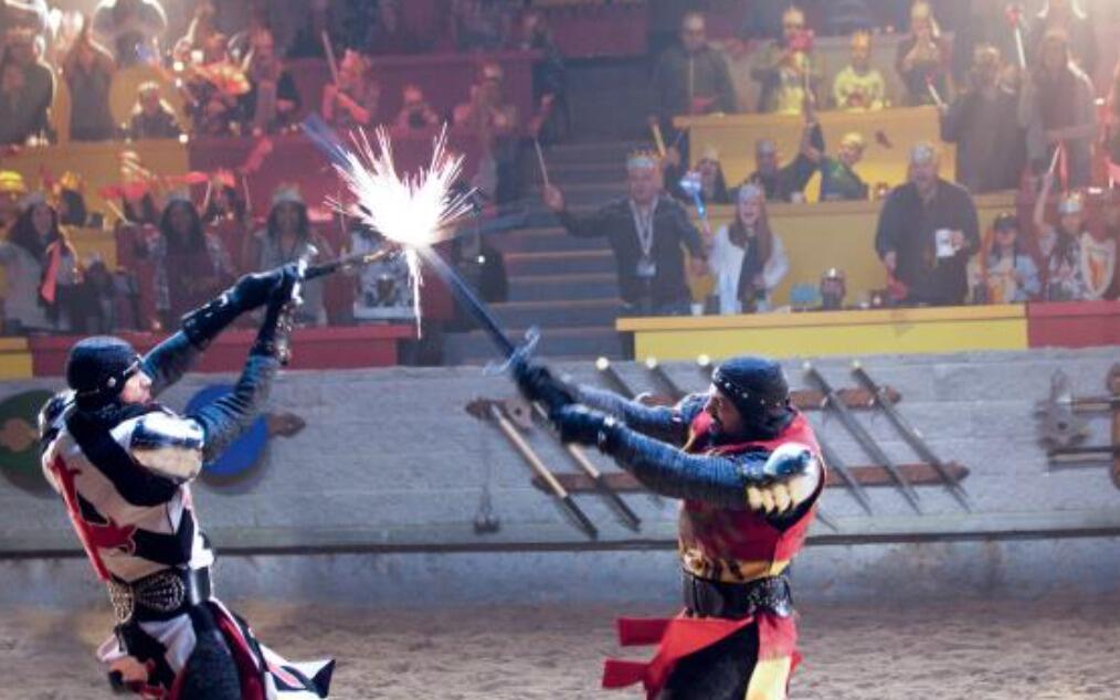 Picture of Medieval Times Dinner & Tournament