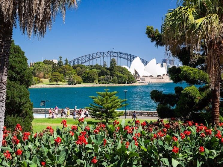Picture of Royal Botanic Garden Sydney