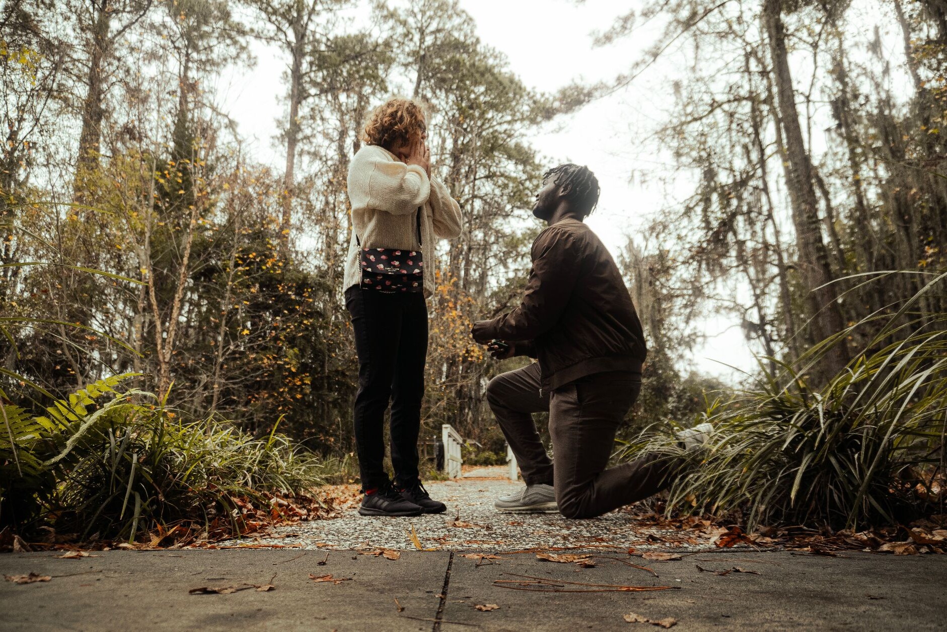 Nova & Jonathan Home Page Banner