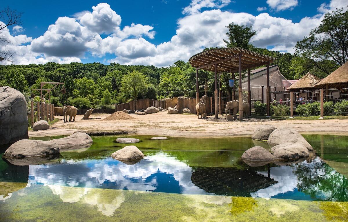 Picture of Cleveland Metroparks Zoo