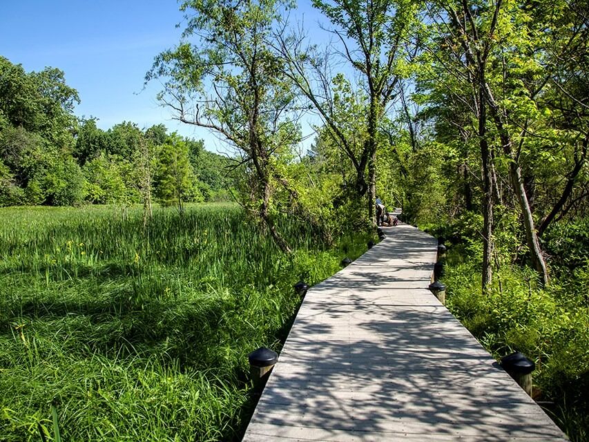 Picture of Theodore Roosevelt Island Park