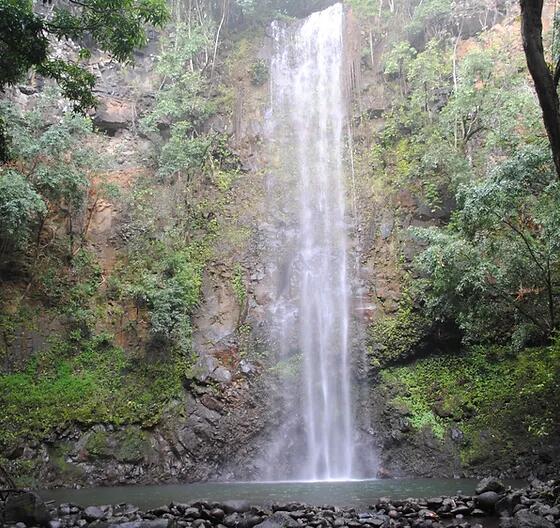 Picture of Kayak The Wailua River To Secret Falls