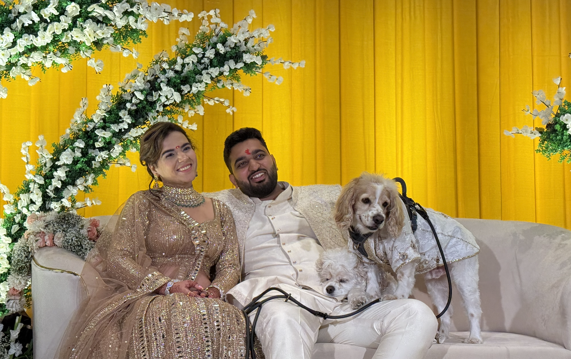 Our Engagement Day — With Jerry & Bella 🐾💍
A day filled with promises, happy hearts, and our sweetest companions by our side. As we celebrated the beginning of our forever, Jerry and Bella made the moment even more special—turning our engagement into a beautiful memory of love, family, and four little paws that complete our world. ❤️