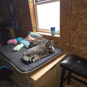 Gallery Photo 9