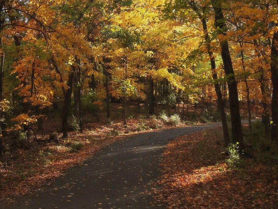 Picture of Percy Warner Park
