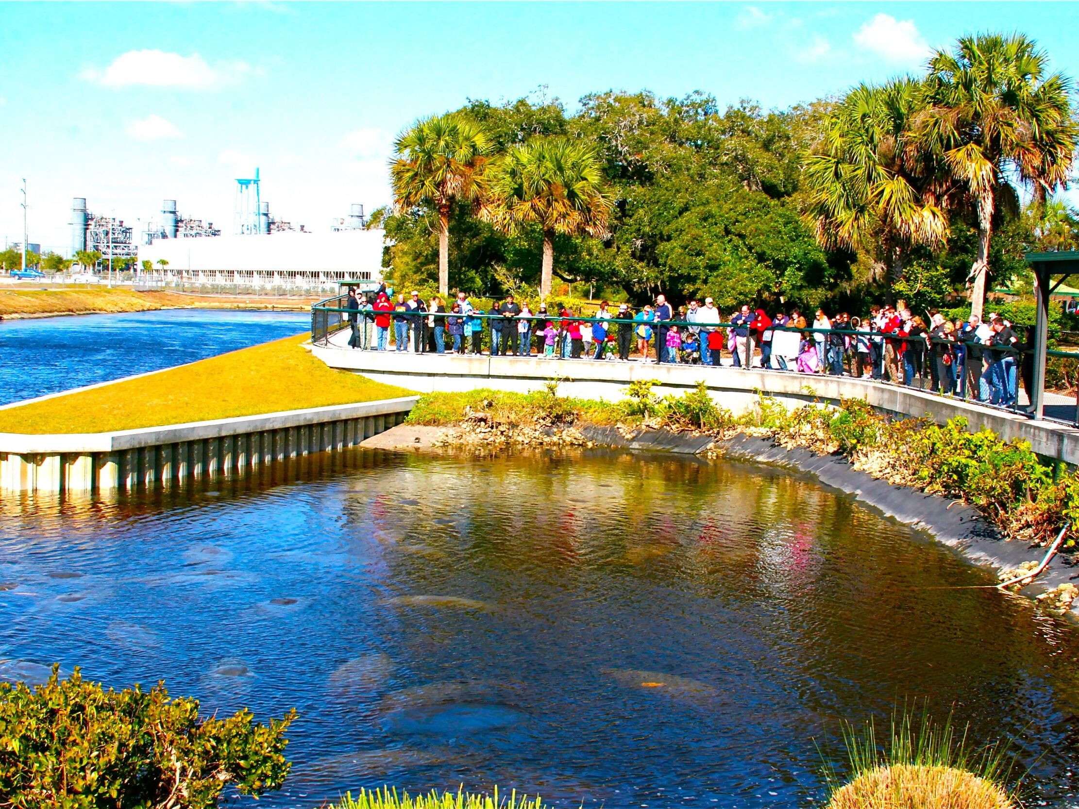 Picture of Manatee Park