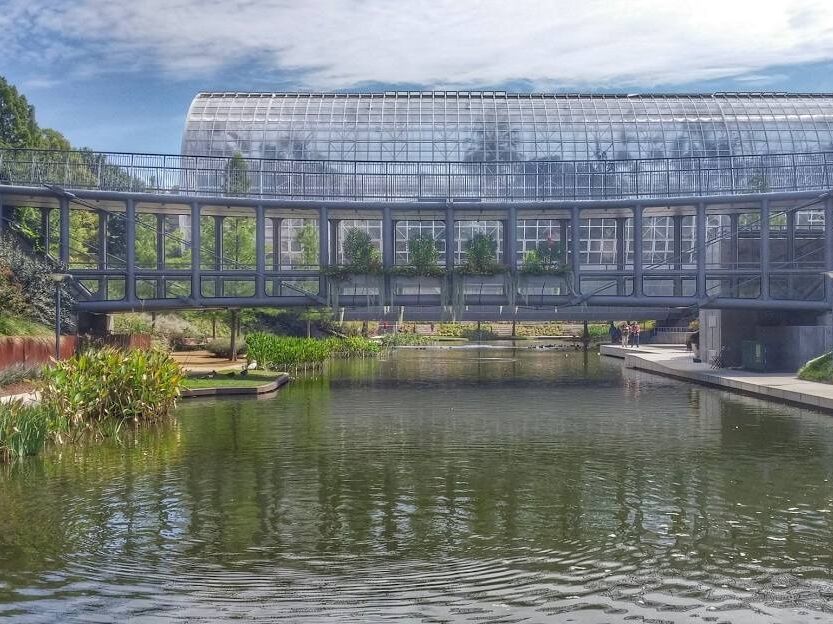 Picture of Myriad Botanical Gardens