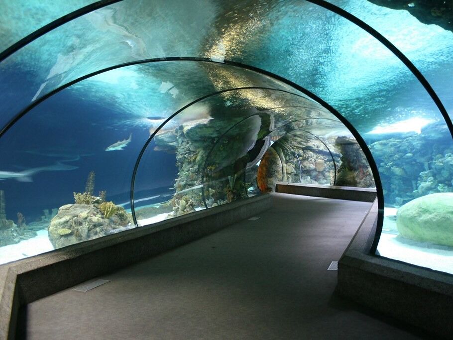Picture of Omaha's Henry Doorly Zoo and Aquarium
