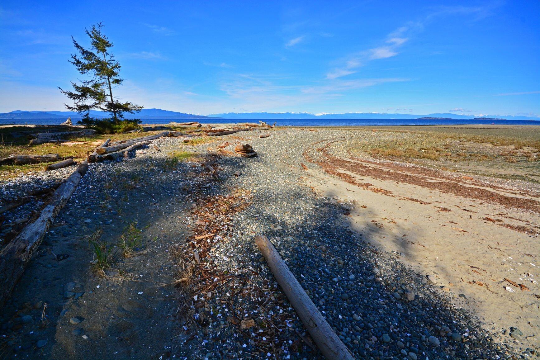 Picture of Rathtrevor Beach Provincial Park