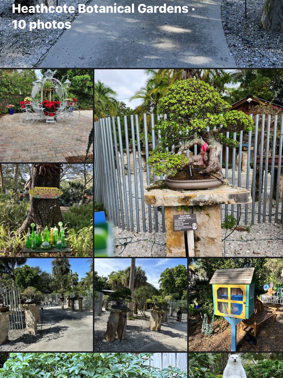 Picture of Heathcote Botanicals Garden