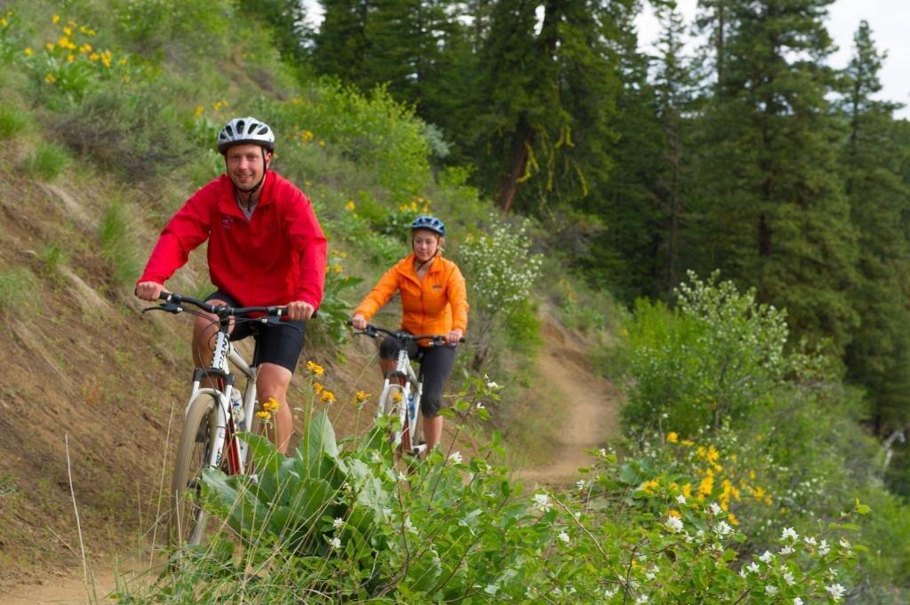 Picture of Mountain Biking