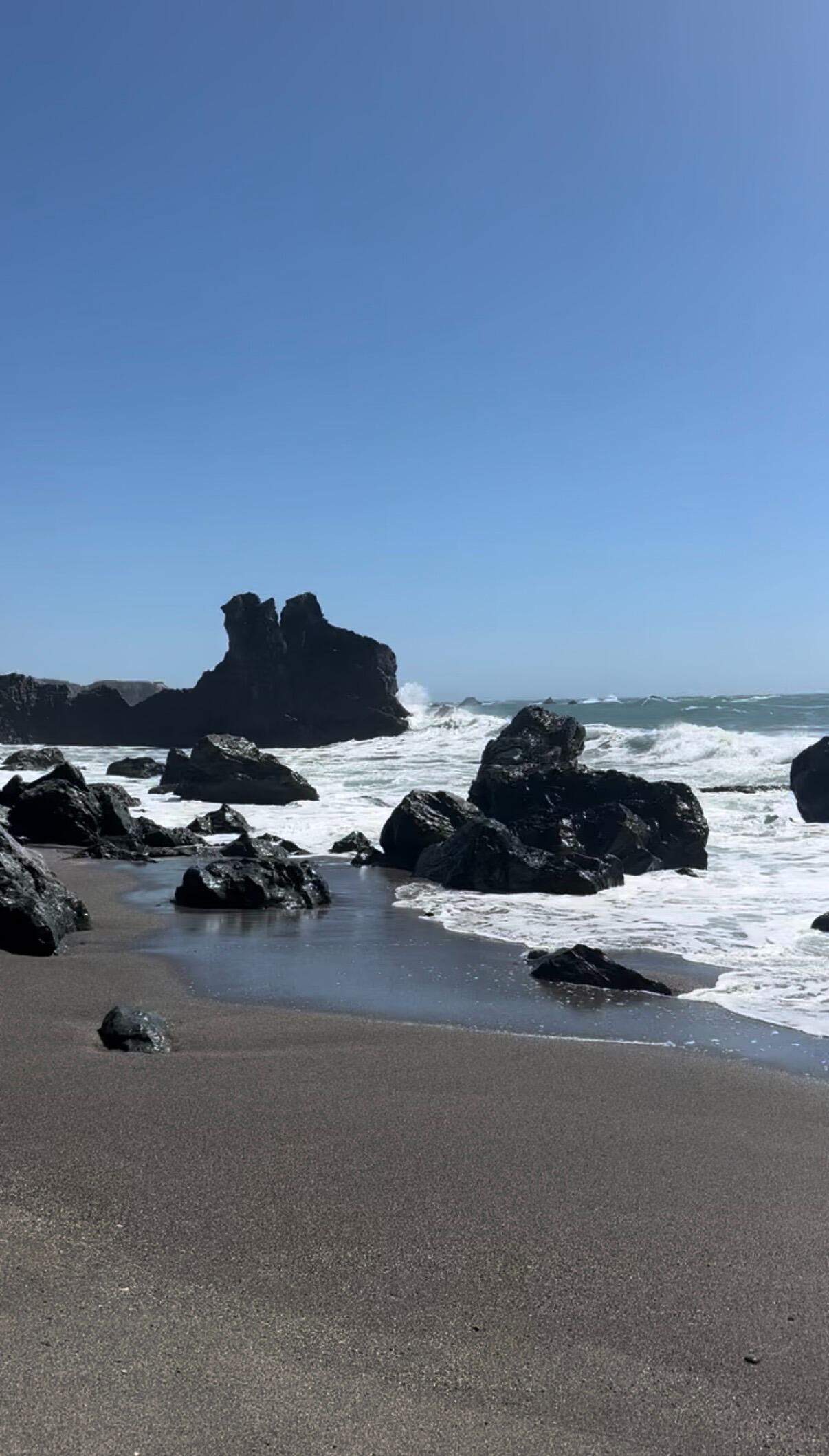 Picture of Bodega Bay