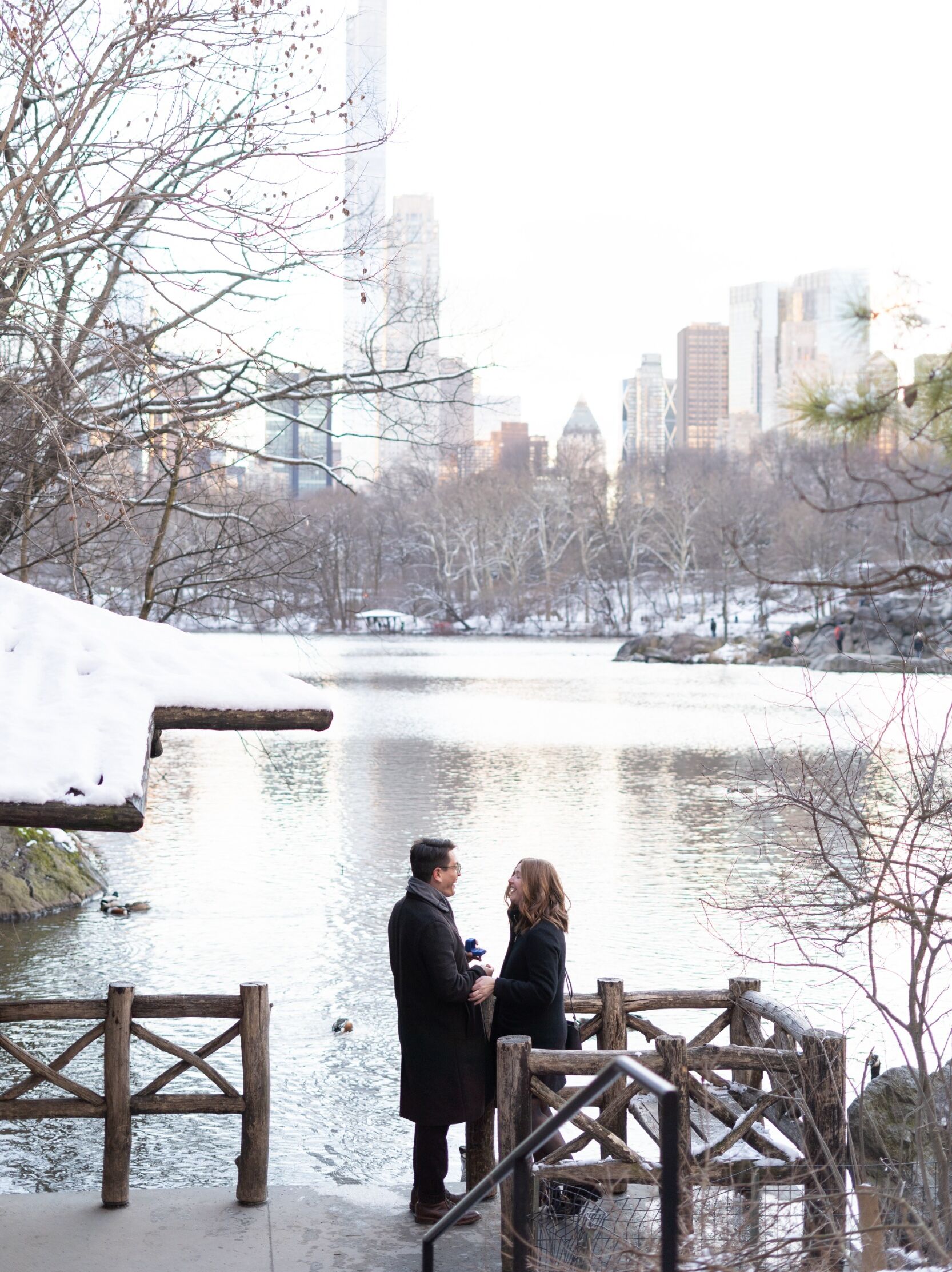 Picture of Central Park