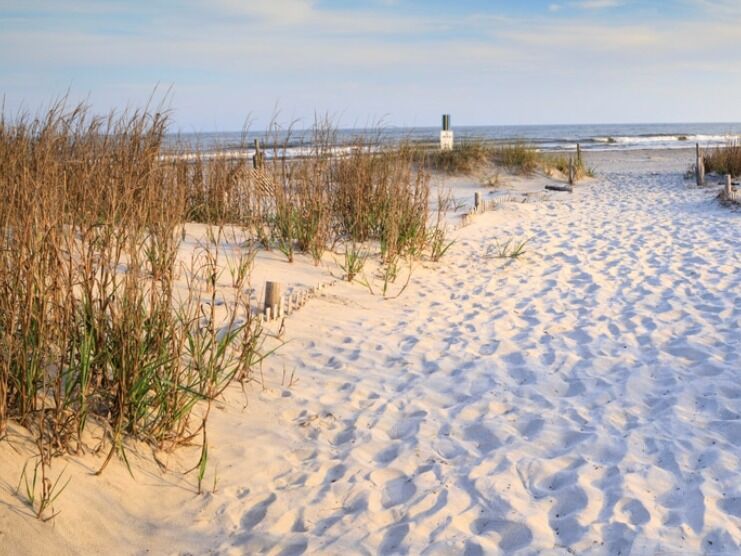 Picture of Isle of Palms Beach Access 25