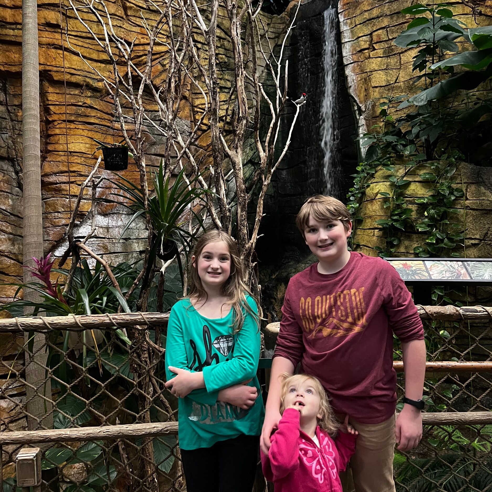 Picture of Henry Vilas Zoo