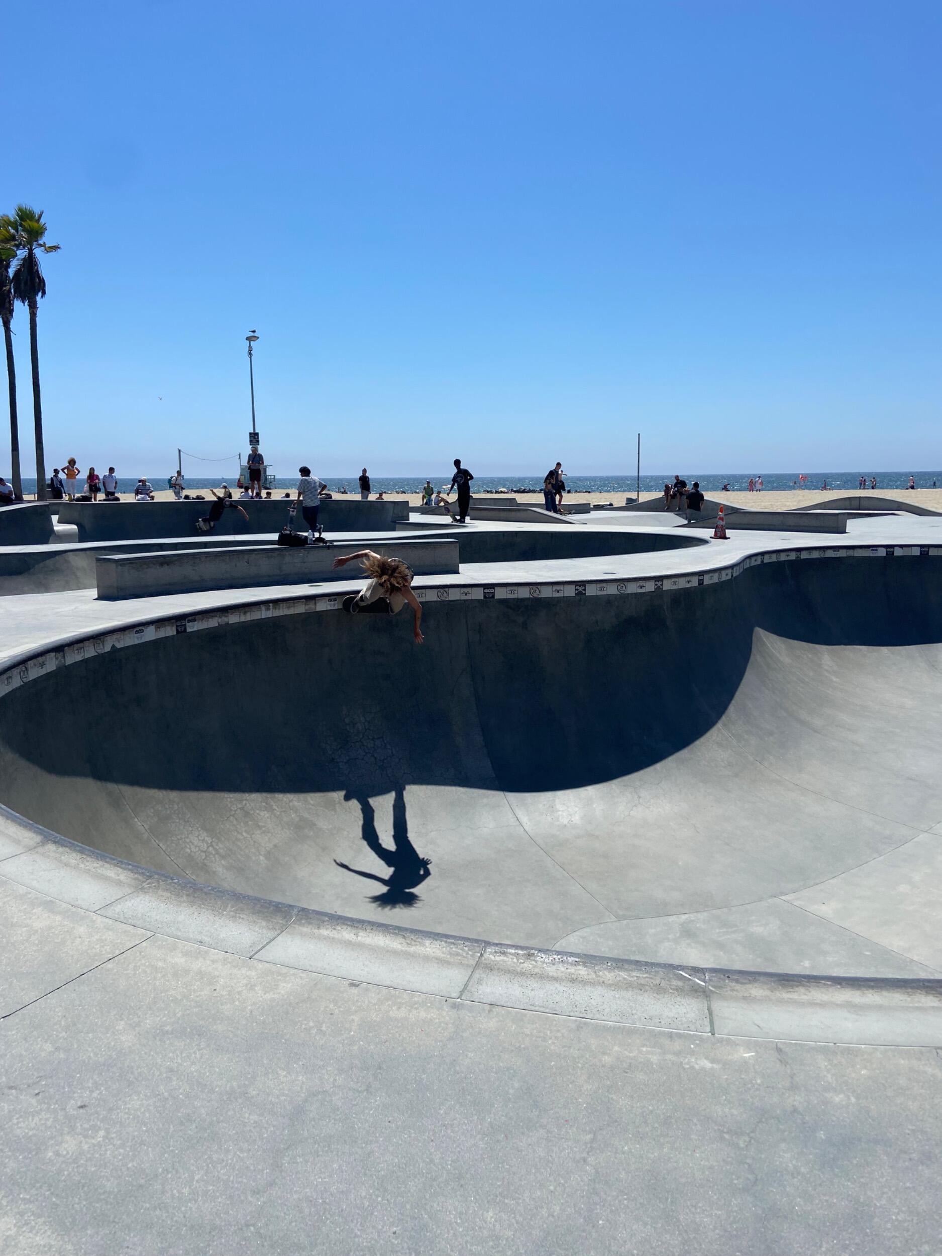 Picture of Venice Skatepark