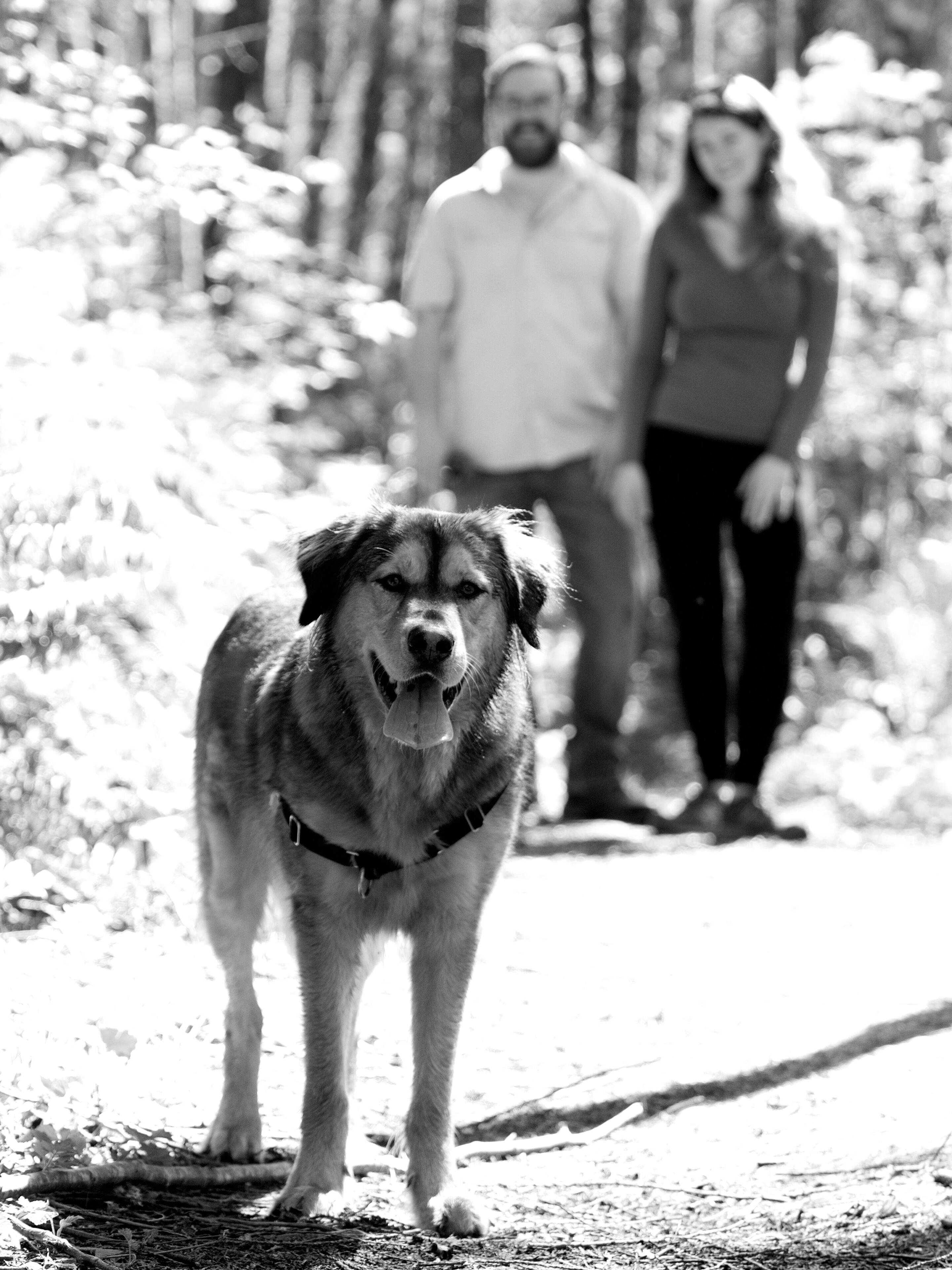 Album Photo 2