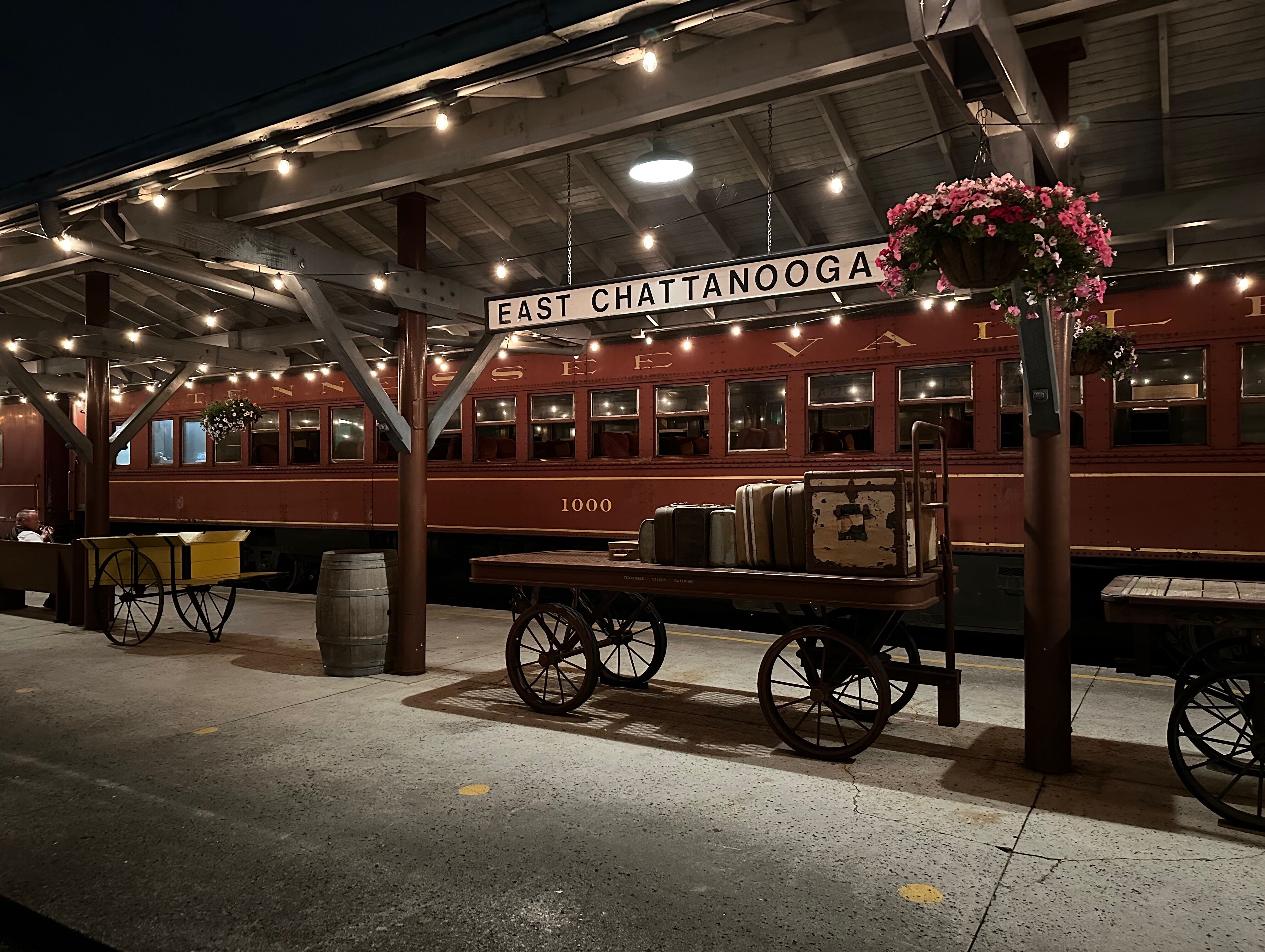 Picture of Tennessee Valley Railroad Museum