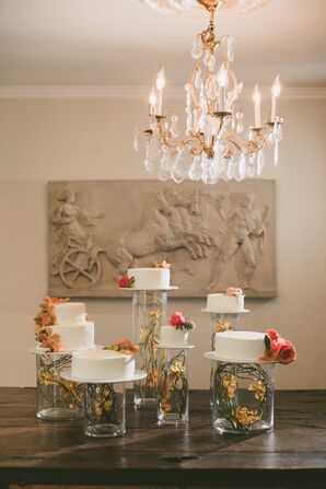 Cake Display