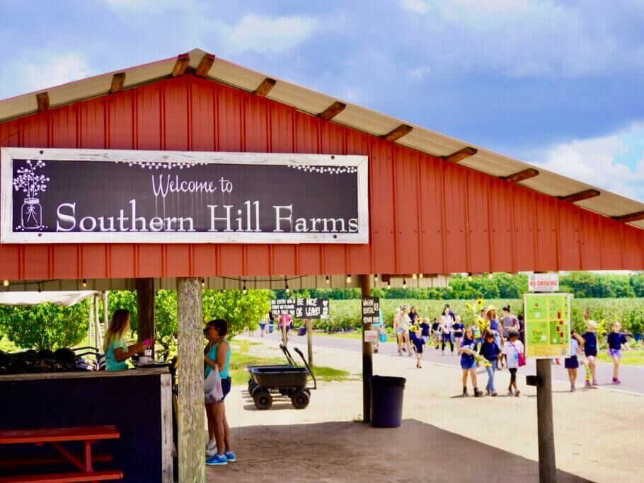 Picture of Southern Hill Farms
