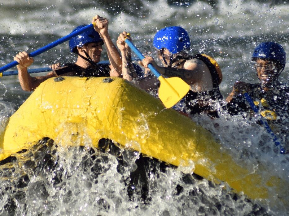 Picture of Whitewater Express