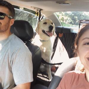 Gallery Photo 113