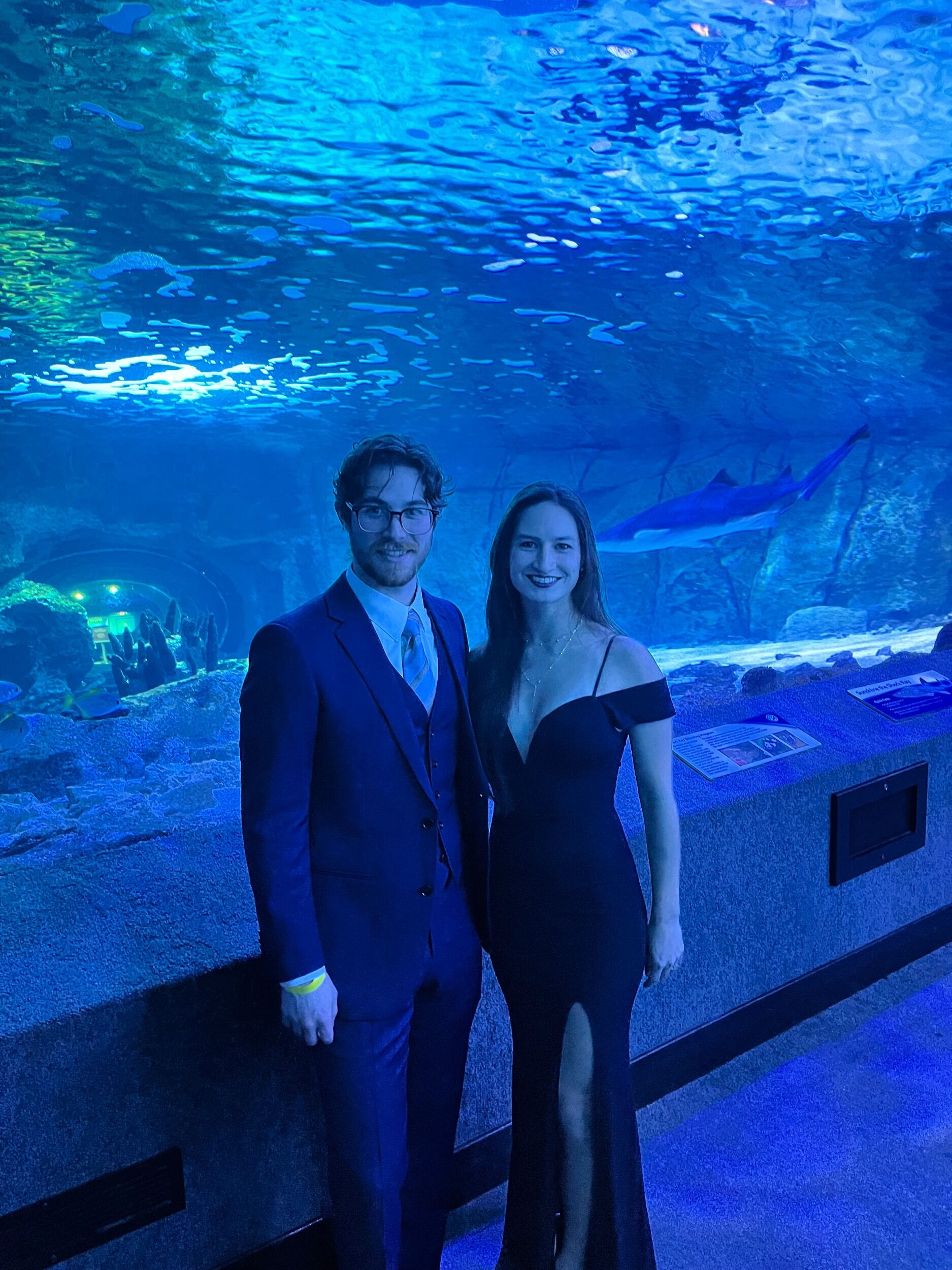 Picture of Newport Aquarium